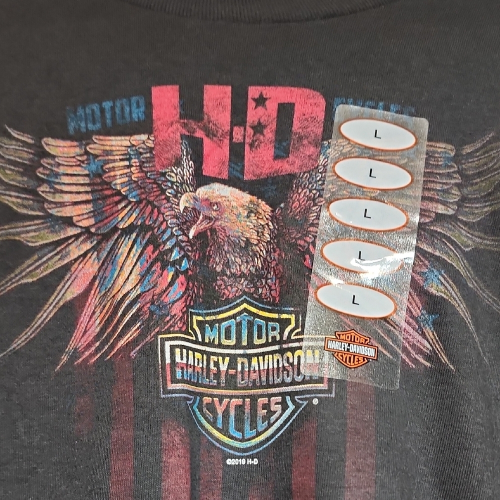 Harley-Davidson Charcoal Eagle Tee